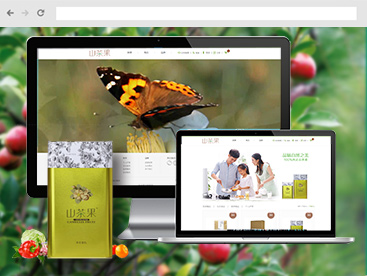 山茶果官方網(wǎng)站設計制作